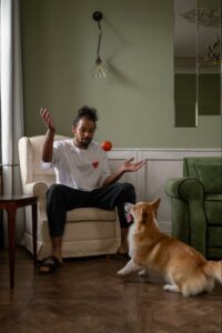 A medium-sized dog plays a game with its owner in their apartment. Find out how you can keep your dog active.